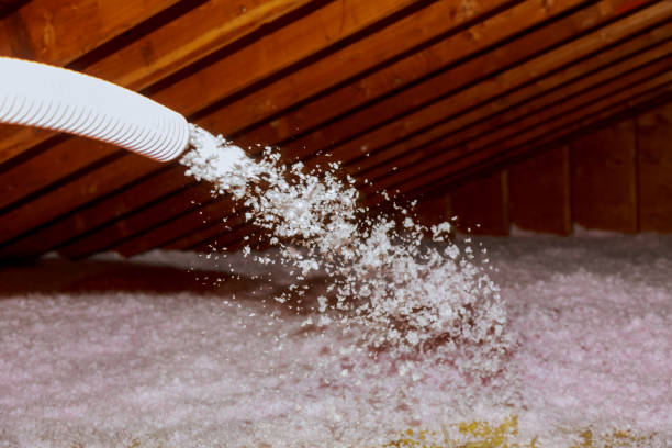 Best Geographic-Specific Insulation Services in Sawgrass, FL