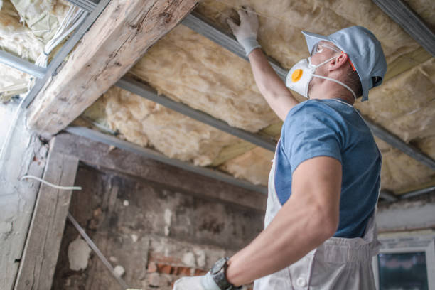 Professional Insulation Contractor in Sawgrass, FL