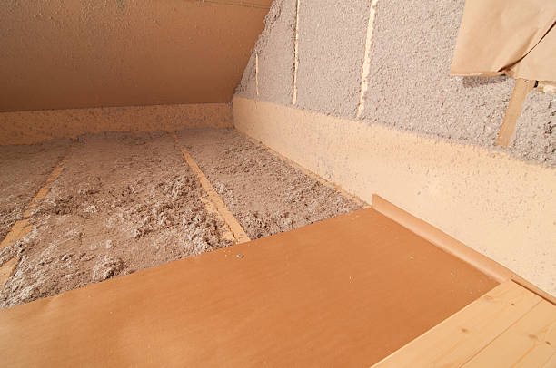 Best Eco-Friendly Insulation in Sawgrass, FL